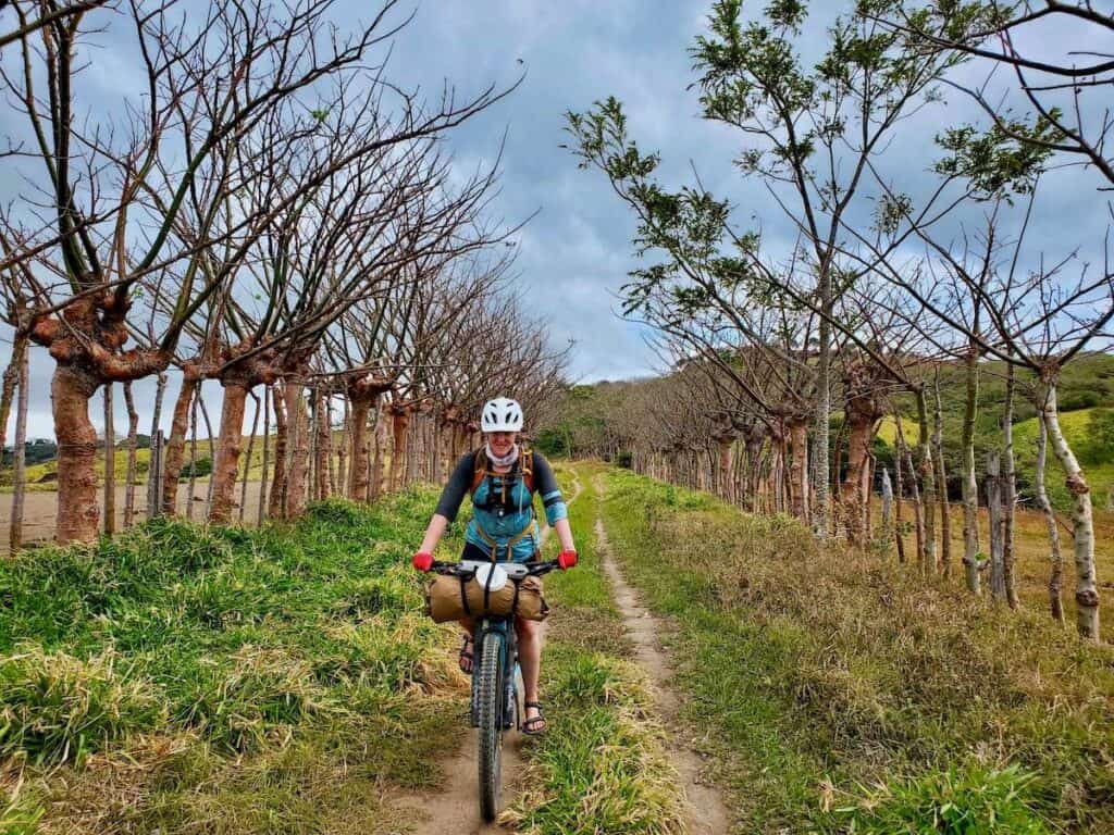 Woman riding loaded bikepacking bike down remote road lined with trees