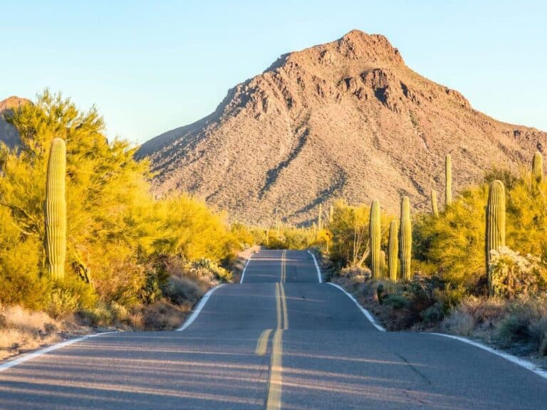 11 Best Arizona Bike Trails for Every Type of Cyclist