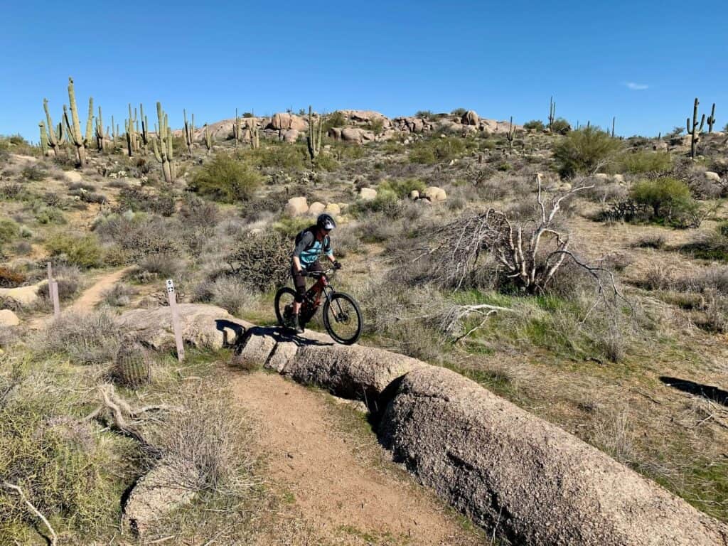 Mountain biker riding skinny rock slab at Brown's Ranch in Phoenix
