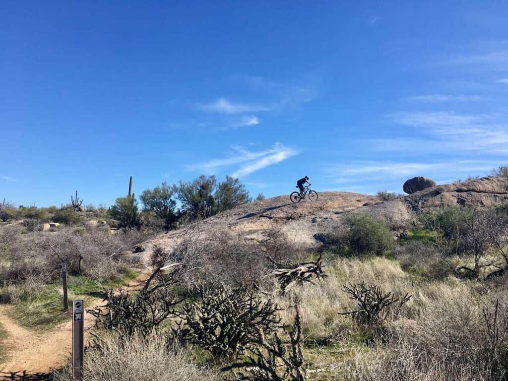 Mountain biker riding bike to rock slab in desert surrounded by cacti and desert vegetation