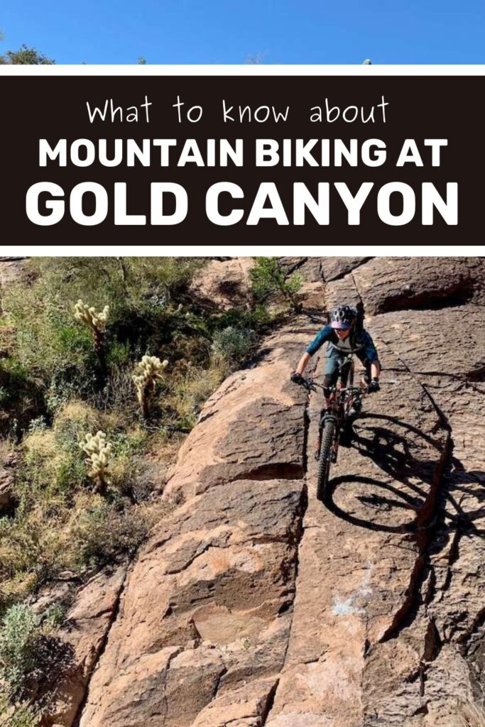 Two Wheeled Wanderer | Gold Canyon is one of my favorite mountain biking networks in Arizona. With incredible views of the Superstition Mountains and tons of trails to explore, it's a must-ride for any mountain biker. Learn everything you nee to know about planning your ride at Gold Canyon in this post.