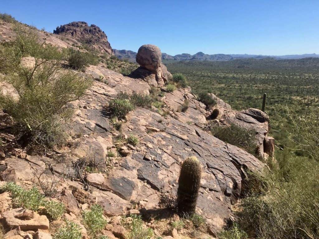 Desert landscape outside of Phoenix, Arizona with red rock slabs and cacti