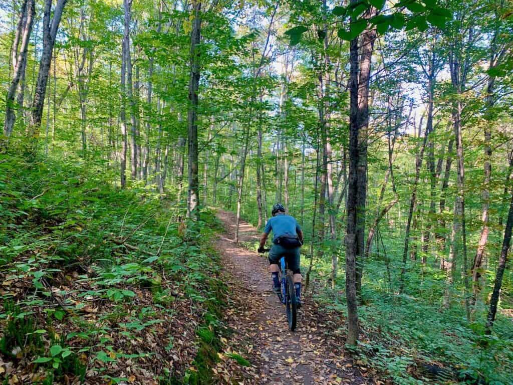 Mountain biker on singletrack trail in Quebec covered in fall leaves 