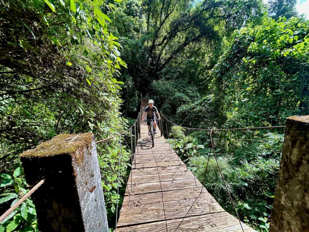 Female mountain biker riding bike over suspended bridge in the jungle