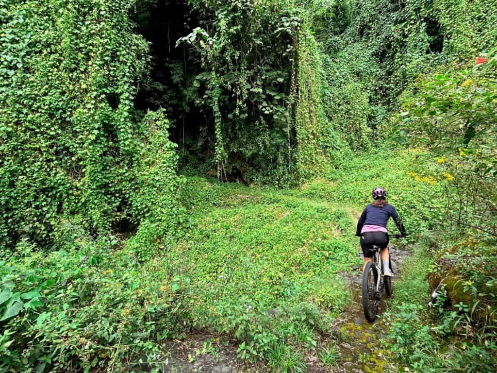 Mountain biker riding a trail through lush vegetation on a volcano in Guatemala