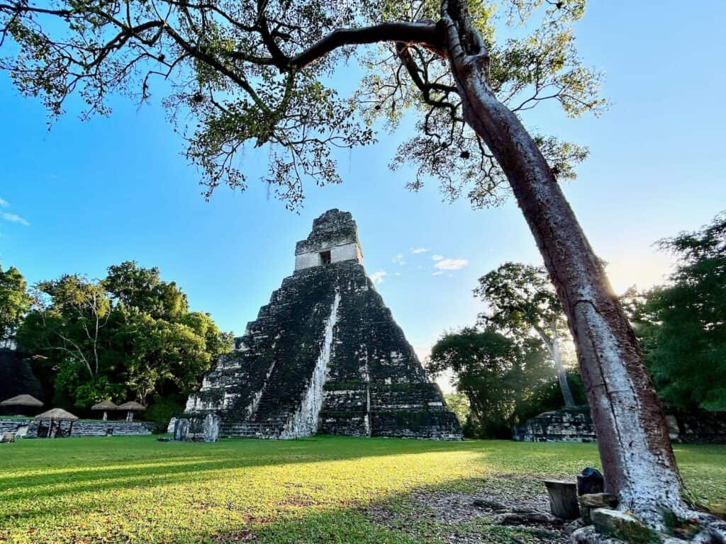 Tall Mayan pyramid temple at Tikal in Guatemala