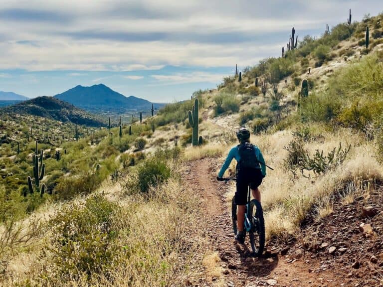 Cave Creek Mountain Biking: A Complete Guide to the Trails