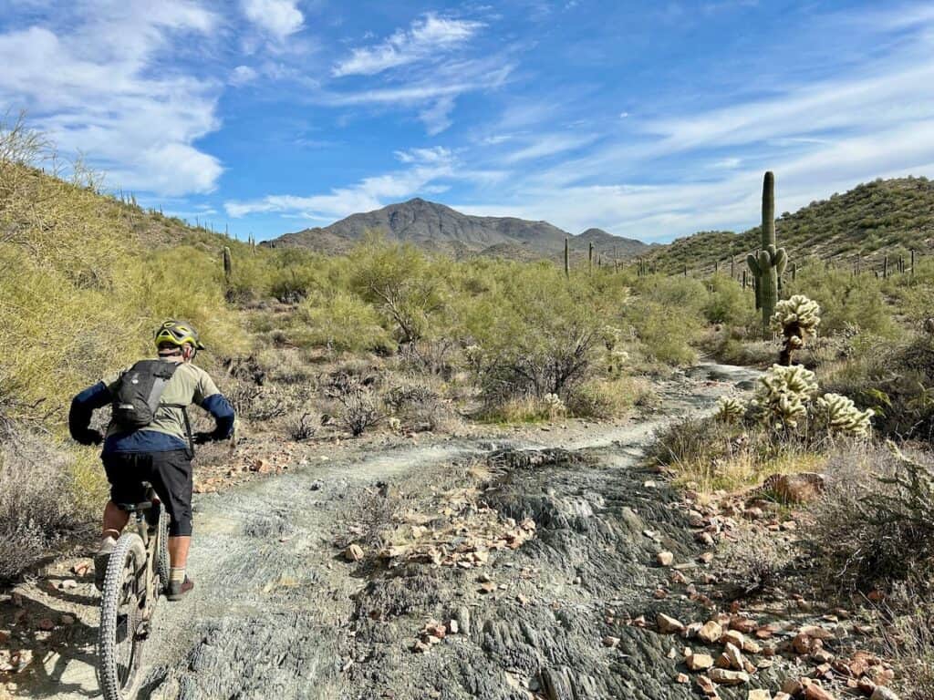 Mountain biker on singletrack trail at Cave Creek Regional Park in Arizona