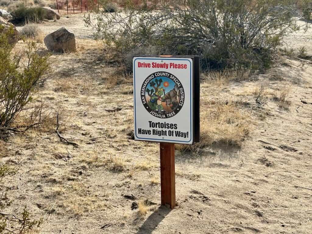 Sign on dirt road outside of Joshua Tree California that says "Drive Slowly Please, Tortoises have the right of way"