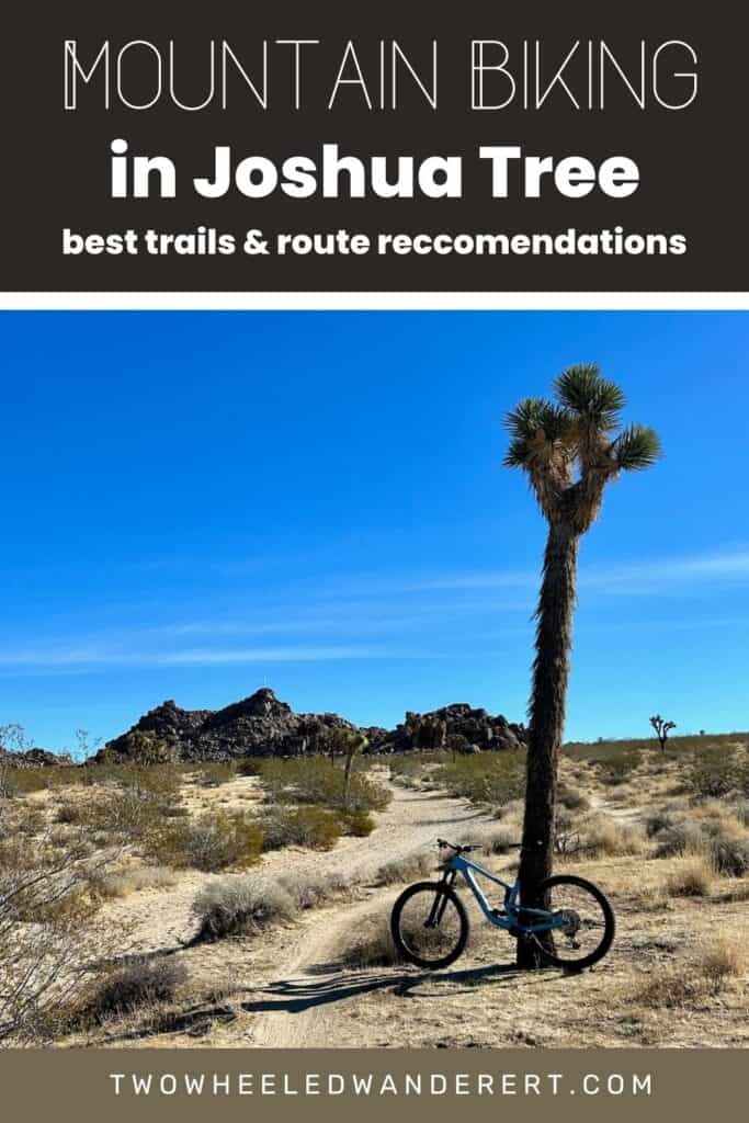 Pinnable image of mountain bike leaning against a Joshua Tree. Text reads "Mountain biking in Joshua Tree: Best trails and route recommendations"