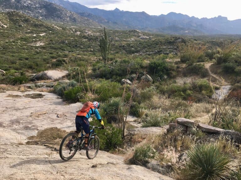 Mountain Biking the 50-Year Trail at Catalina State Park in Tucson