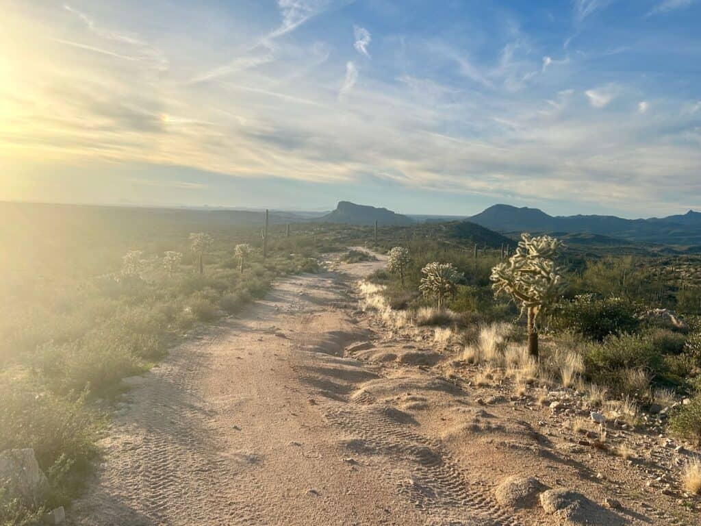 Golden light on remote Jeep road outside of Phoenix, Arizona