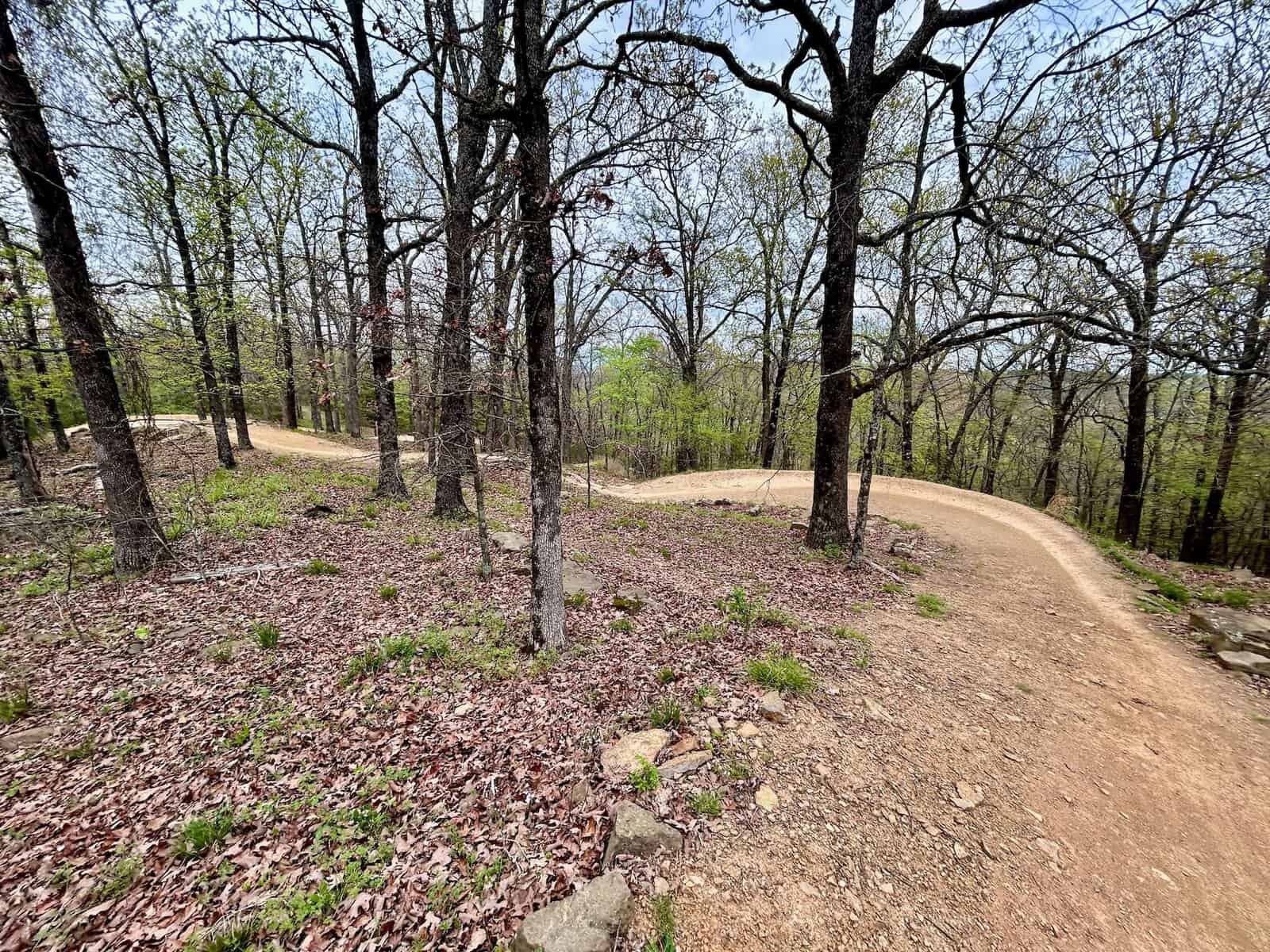 Flowy mountain bike trail at Centennial Park in Fayetteville, Arkansas