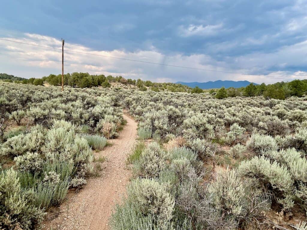 Trail through sage brush
