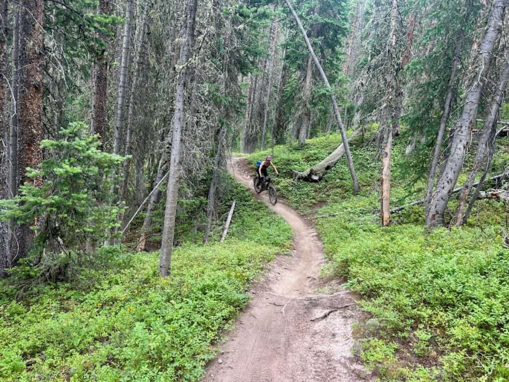 Mountain biker riding bike down singletrack trail through lush forest